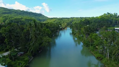Drone flying above loboc river in bohol philippines Video stock 342575786