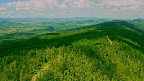 Drone flying above path through forest Stock Footage 144446562