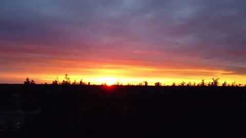 Drone flying up above pine trees forest at the sunset Stock Footage 201423053