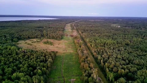 Drone Flying Above Power Line Corridor Through Estonian Forest Stock Footage 343305325