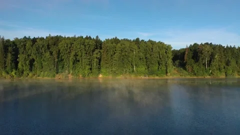 Drone flying above river along forest shore Vidéo 320118400