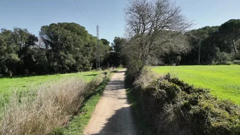 Drone flying above the road into the forest in the middle of green fields, 4K Stock Footage 274458804