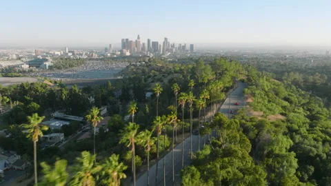 Drone flying above road lined with tall green palm trees at sunset, Los Angeles Video stock 197451284