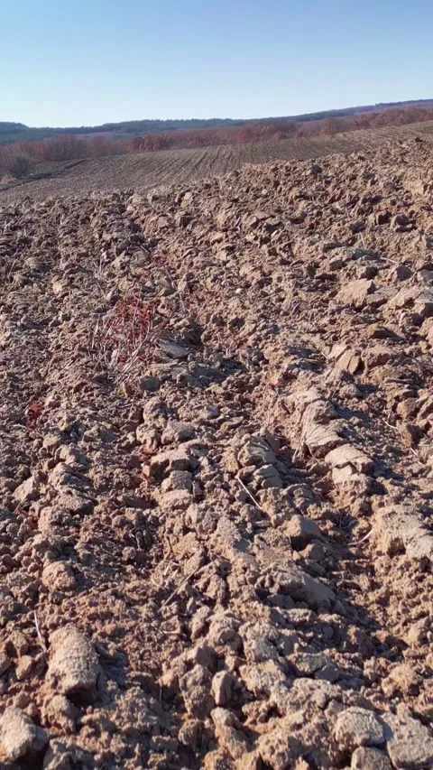Drone flying above rolling field, plowed ground, vertical short video Stock Footage 283344738