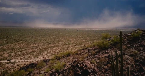 Drone flying above scenic cactus desert field, epic sandstorm wall coming up Vidéo 104147248