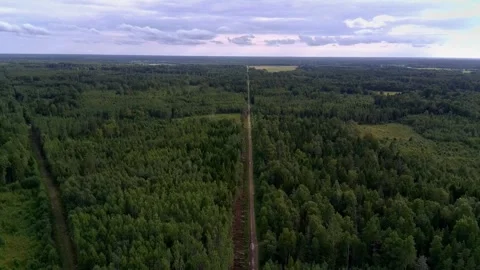 Drone flying above a straight forest road toward the horizon in Estonia Stock Footage 343306888