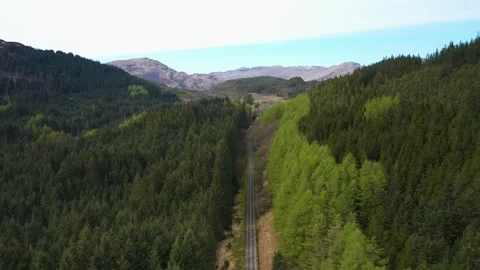 Drone flying above straight road through green coniferous forest with Vídeo Stock 280163110