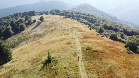 Drone Flying Above Sunlit Mountain Ridgeline with Golden Autumn Grass Stock Footage 342925194