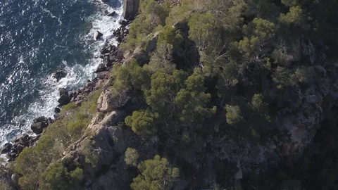 Drone flying above trees and cliff with large waves hitting rocks, Inspire 2 Stock Footage 101424460