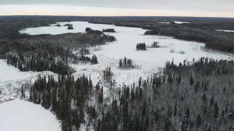 Drone flying above treetops looking down into winter scene of trees and lakes Stock Footage 121186826