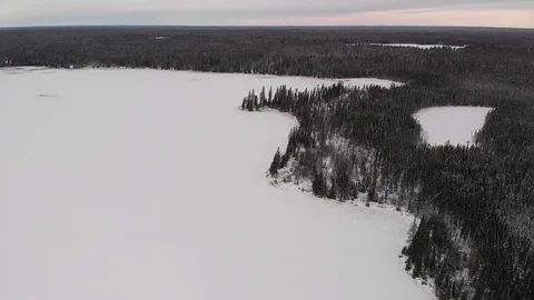 Drone flying above treetops looking down into winter scene of trees and lakes Stock Footage 121186892