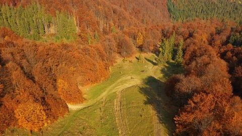 Drone flying above treetops on Mount Gretna, PA, in late summer, early autumn Stockbeeldmateriaal 118394774