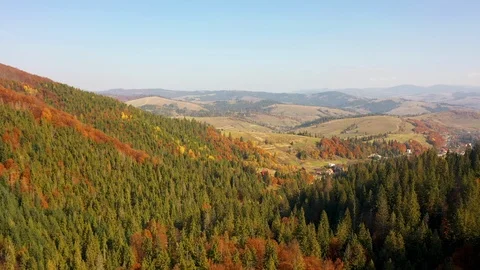 Drone flying above treetops on Mount Gretna, PA, in late summer, early autumn Stockbeeldmateriaal 118395490