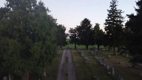 Drone Flying above Two Men and a Dog walking Through Graveyard Stock Footage 140146704