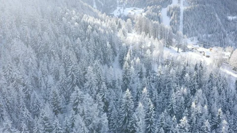 Drone flying above a white and snowy forest with a beautiful sunlight coming Stock Footage 145699679