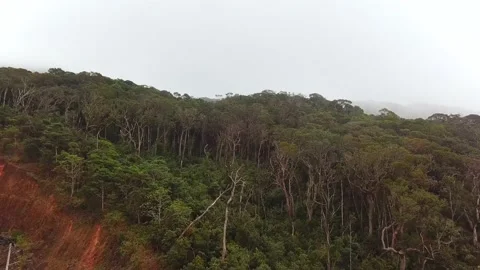 Drone flying above winding mountain road near misty fog rainforest Stock Footage 168751782