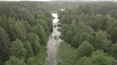 Drone flying along a calm river through a forest in summer morning Stock-Footage 159982174