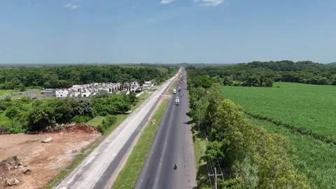 Drone flying along highway through sugarcane fields Video stock 337978219