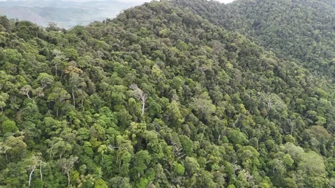 Drone flying along pristine mountain forest in M'Drak, Dak Lak 스톡 동영상 337399749