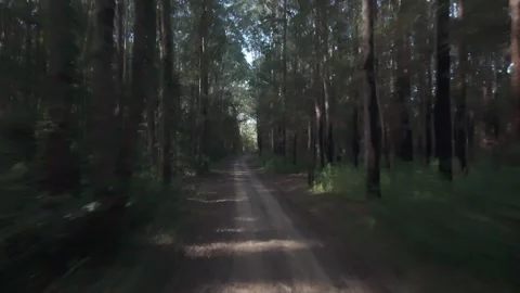 Drone Flying Along a Road Through a Dense Forest Vídeos de archivo 327042651