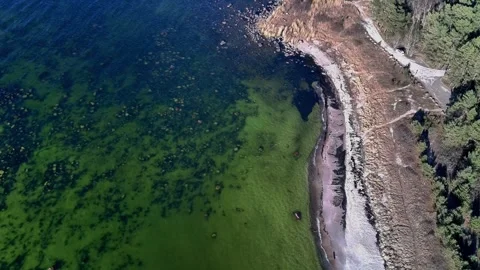 Drone flying along a rocky Baltic Sea coastline in Estonia Stock Footage 343305704