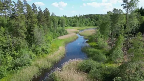 Drone flying along a small river Video stock 310737374