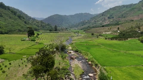 Drone flying along stream through farmland and cultivated hills 스톡 동영상 336973816