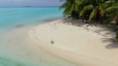Drone flying along wild empty Maldive island beach Stock Footage 188923187