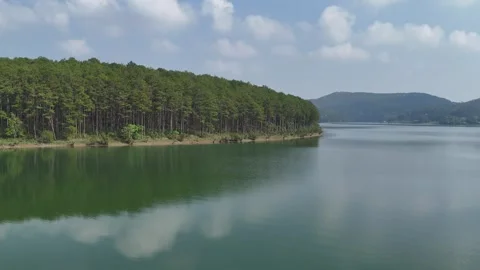 Drone flying alongside pine forest over calm Tuyen Lam Lake 動画素材 336972096