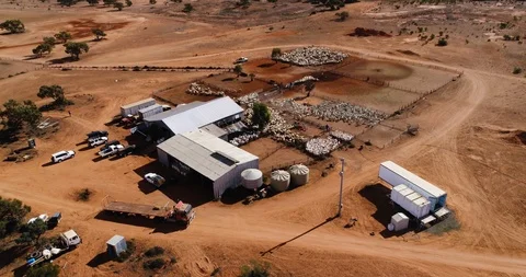 Drone flying around large sheep shearing operation in Outback NSW, Australia. Stock Footage 86606926