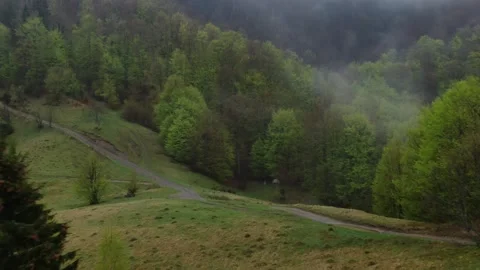 Drone flying around small mountain cabin in Carpathian Mountains Video stock 154425160