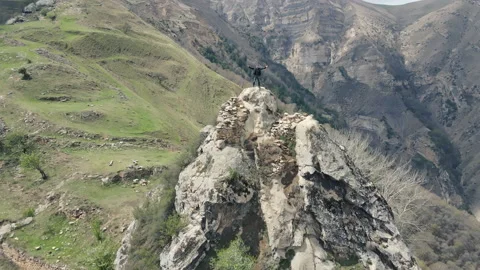 Drone flying away from man standing on rock in Caucasus mountain range Video stock 196164047