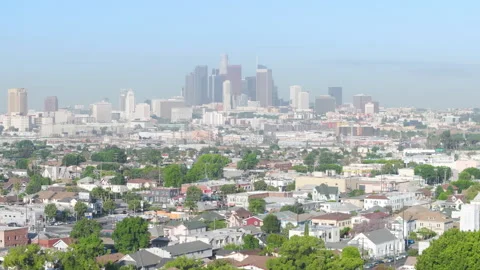 Drone flying back between green palm trees on scenic morning, Aerial Los Angeles 스톡 동영상 250041564