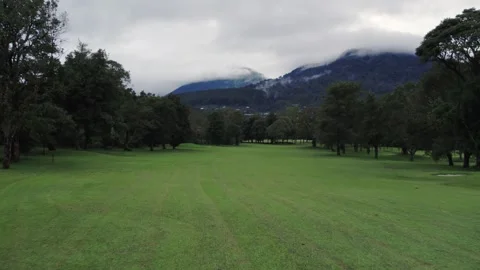 Drone flying back over a golf field and forest, sports and nature 動画素材 248981786