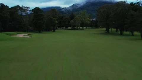 Drone flying back over a green field and tropical forest, mountain and sky Vídeo Stock 246904231