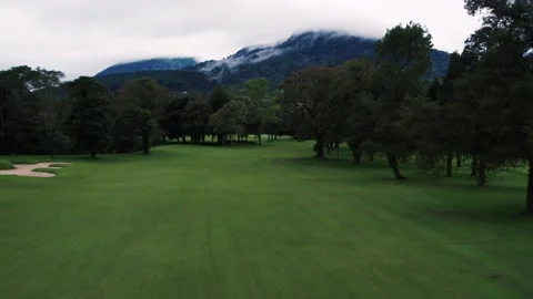 Drone flying back over a green field and tropical forest, mountain and sky 스톡 동영상 248757435