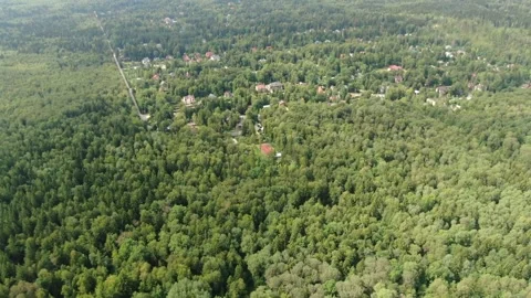 Drone flying backward above forest settlement Vidéo 330078705