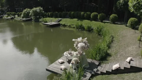 Drone flying backward and rising from pond installation Stock Footage 329833133