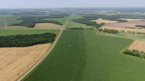 Drone flying backward high above corn field Stock Footage 333183198