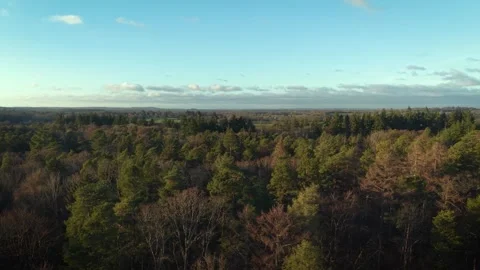 Drone flying backward over forest Stock Footage 325746032