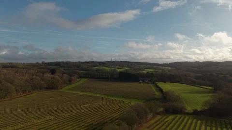 Drone flying backward over planted farmland and lake Stock Footage 326975397