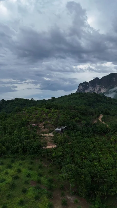 Drone Flying Backward Over Tropical Rainforest Plantation in Ao Nang, Krabi, Stock Footage 335962112