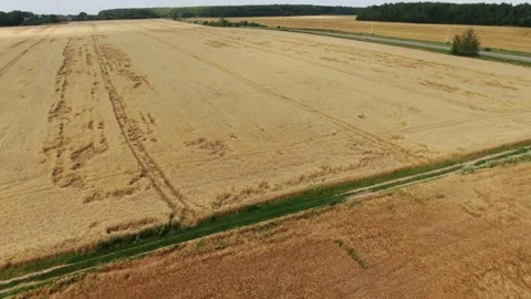 Drone flying backward rising over rural farmland Video stock 333089221