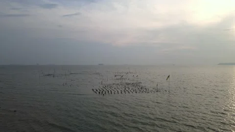 Drone flying backward from the sea in Pasir Panjang Stock Footage 150721383