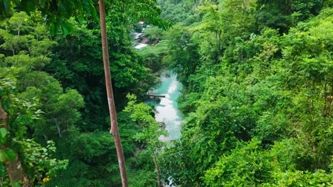 Drone Flying Backward Through Jungle River, Kawasan Falls Cebu Philippines 스톡 동영상 334095576