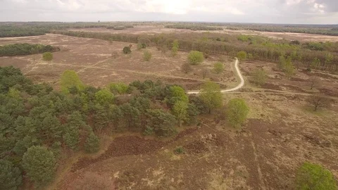 Drone flying backwards and acsending over heath on a cloudy day Stock Footage 75353214