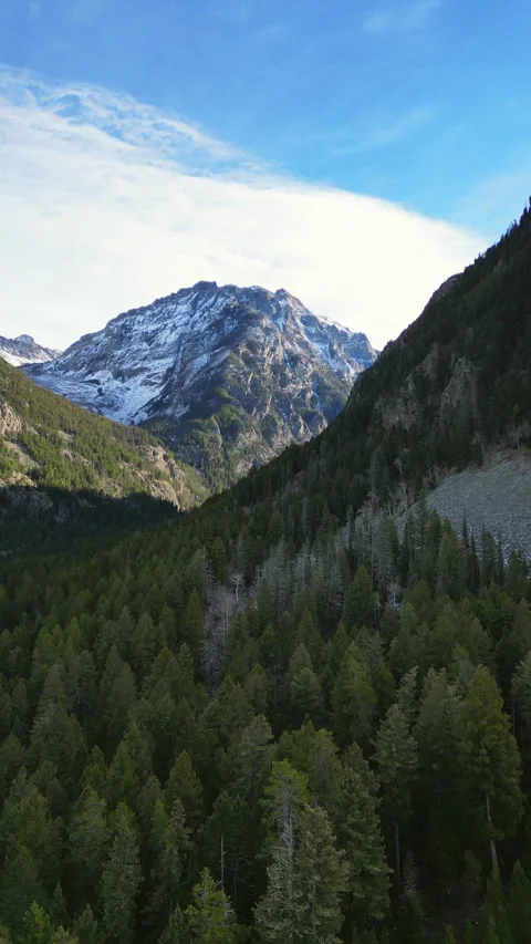 Drone flying backwards out of Winter Mountains - vertical Stock Footage 323676811