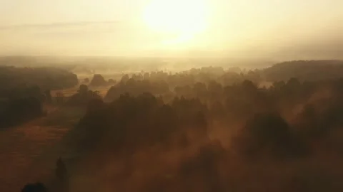 Drone flying backwards over amazing forest valley and small river under thick Stock Footage 154177431