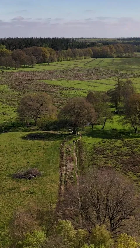 Drone Flying Backwards Over Beautiful Green Natural Landscape 库存影片 335475990