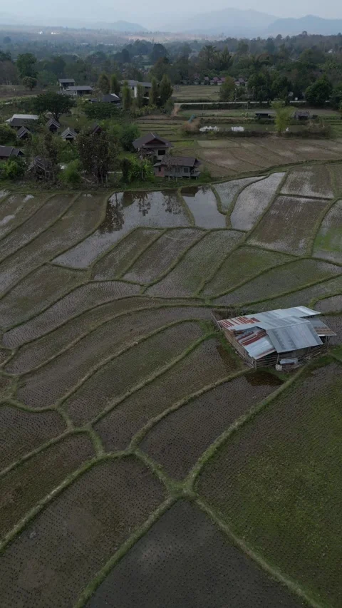 Drone Flying Backwards Over Flooded Rice Paddies in Pai, Mae Hong Son, Thailand Stock Footage 335600883